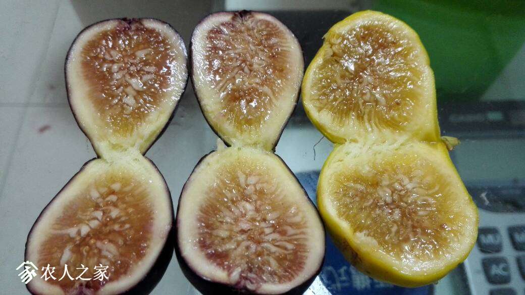 141736ke9eat3p4t2xfeoe.jpg
