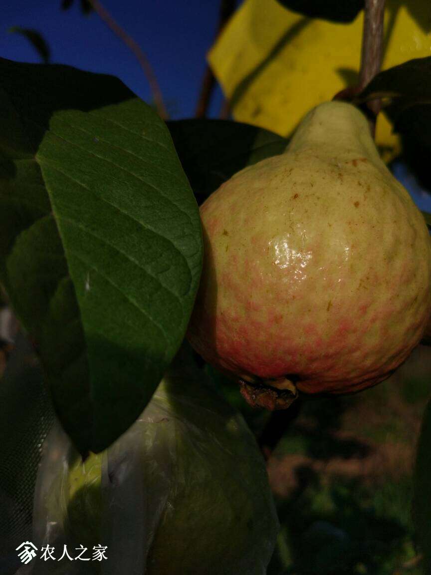 171759fejizikjbbx4j343.jpg