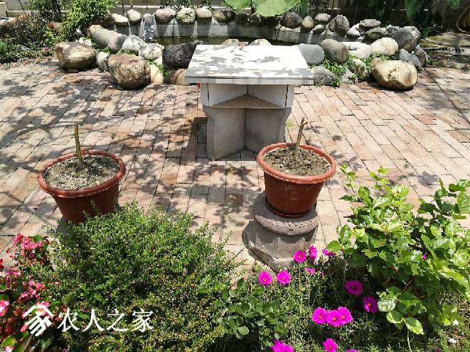 224122yj6gguo9yy18uoe9.jpg