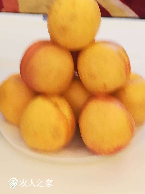 003309axuttntd3w3czadp.jpg