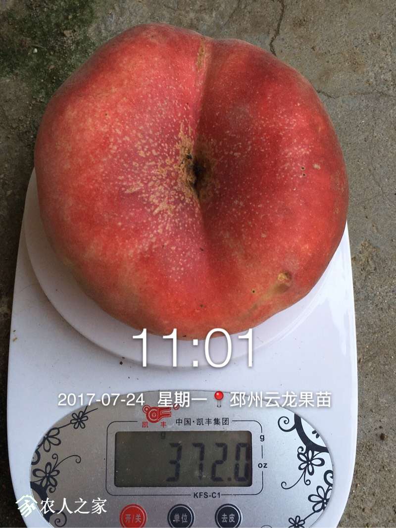 101722lnyox35nidnyw7ni.jpg