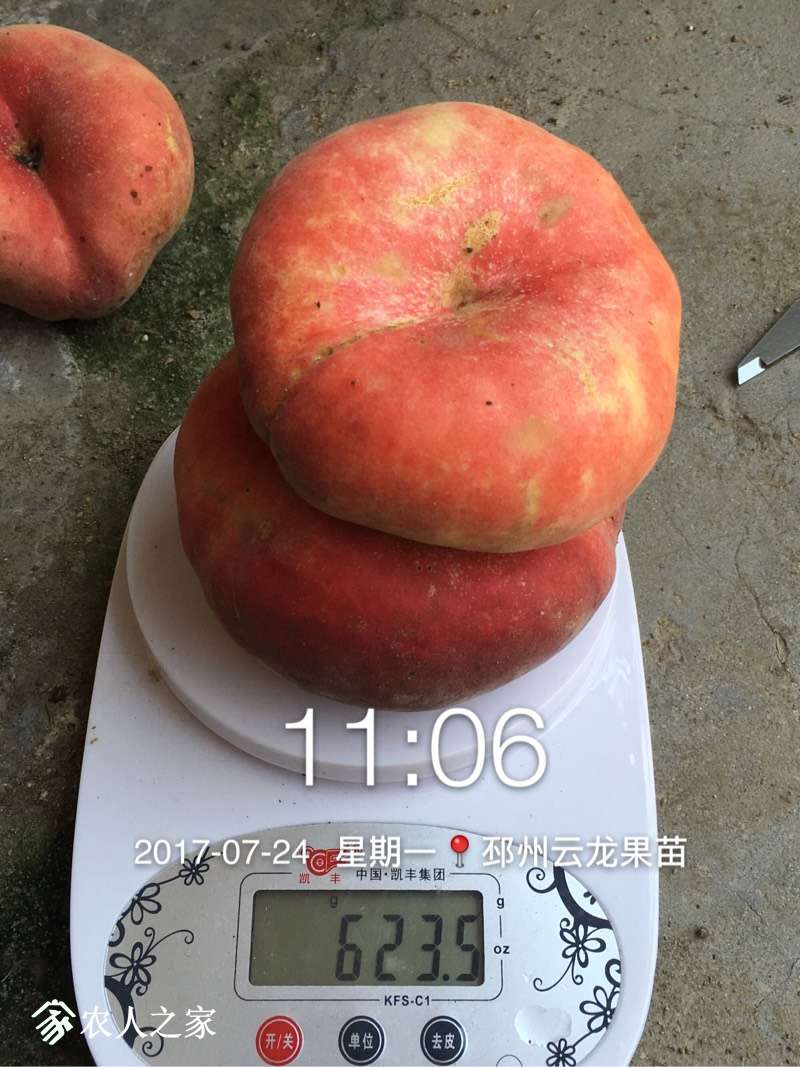 101722m9n3aaa12anf8zaa.jpg