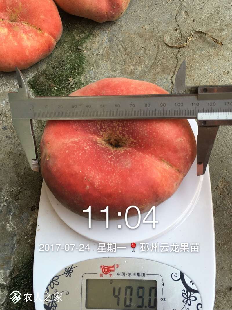 101722mfbvdcdvuwcbawyv.jpg