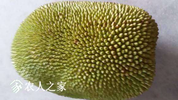 20170721_135053.jpg