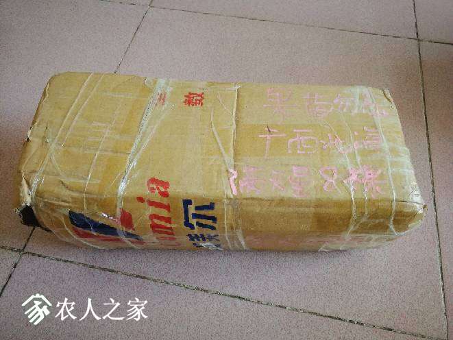 144458ox1sas2fsosm414p.jpg