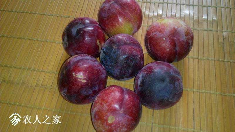 191123ogiu5mcqiqg8w6qm.jpg