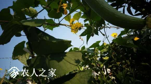 20170724_074406.jpg