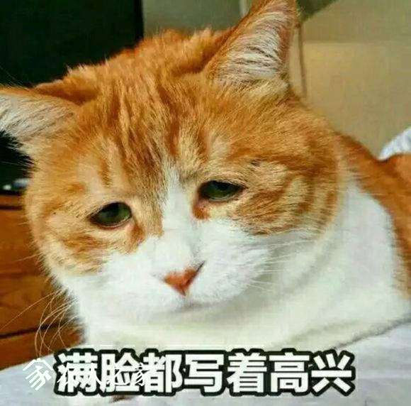 220701jrv6ywrivwcryiru.jpg