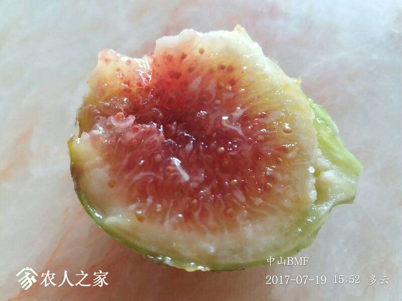 084538buip7y0dhpuicmuc.jpg