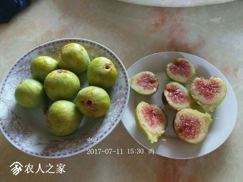 084538pgfa32srl21u919s.jpg