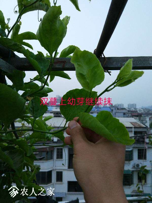 091128sp85pzmxcj5j5ij5.jpg
