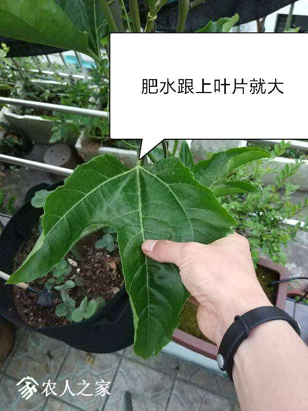 091759lgygo3280rcza6t8.jpg
