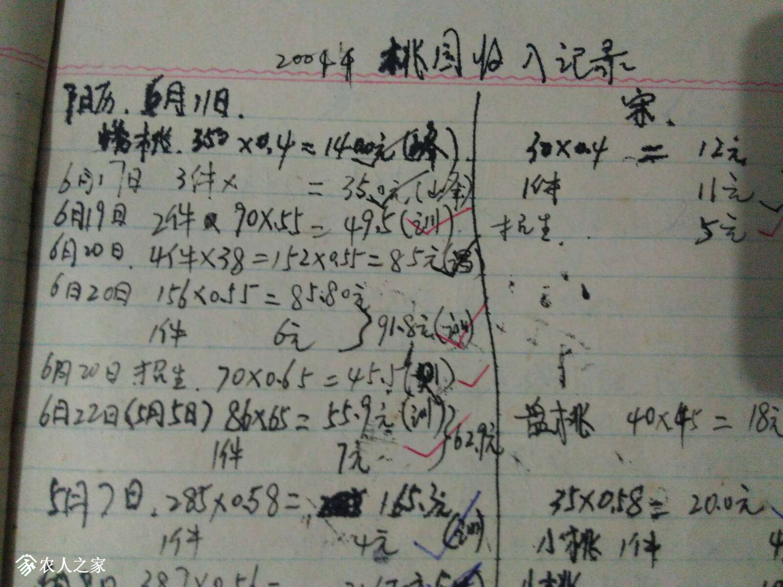 151525okq3kd4t4dk29sso.jpg