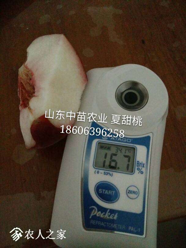 183927w5ecbzu9zcjqf3ca.jpg