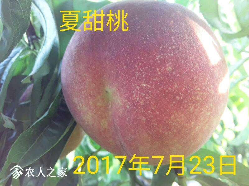 215210w1y1rzpjjci3jmuk.jpg