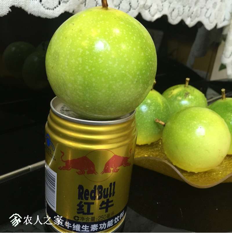 232909ef5g1u51f5ctli1u.jpg