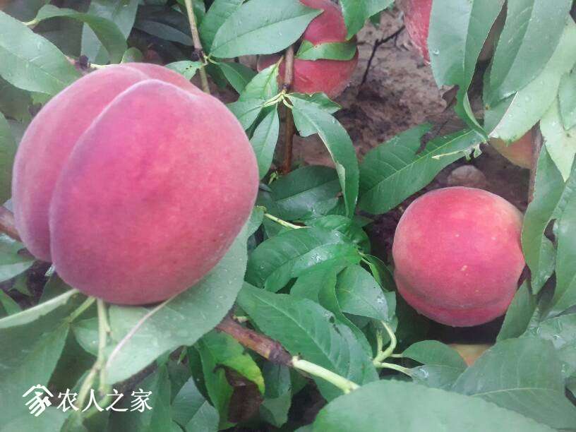 094310nkabukn1abbybw42.jpg