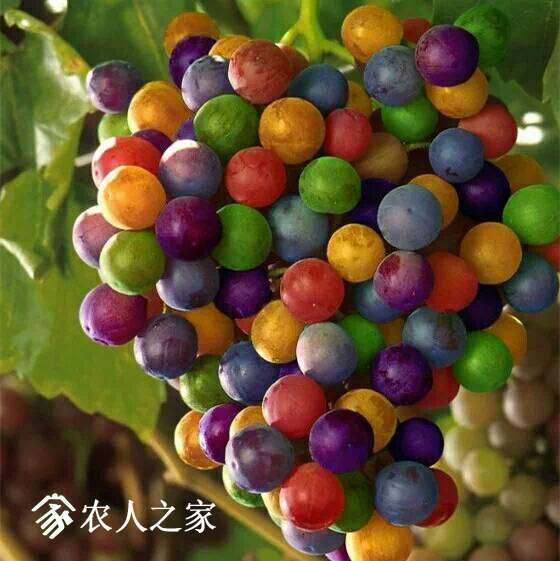 102757qjj3lqxf6cl98izo.jpg