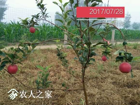 IMG_20170728_070917.jpg