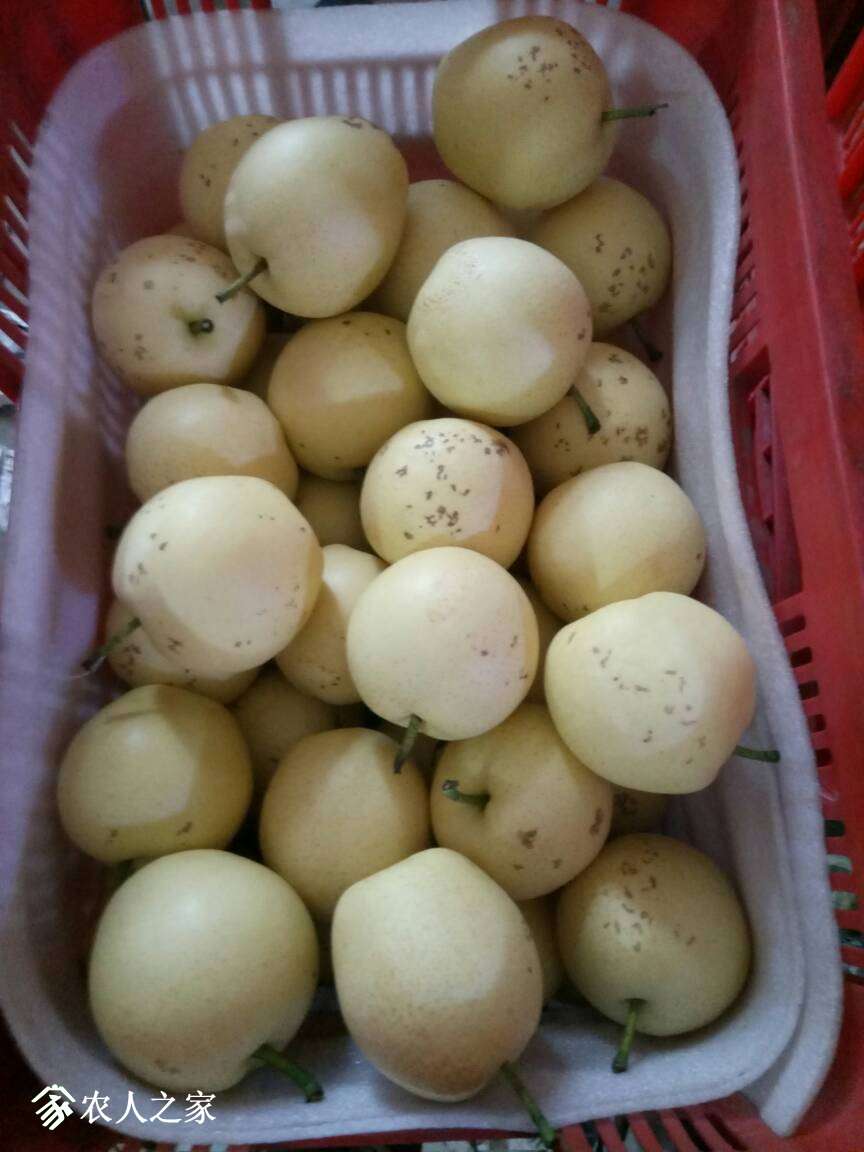 205035hiiyyueqpruyit48.jpg