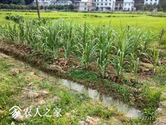 IMG_20170727_174413_HDR.jpg