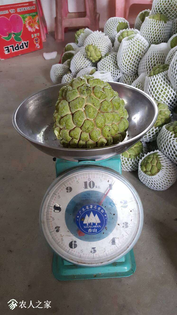 232232icthiiqlvawwjq9n.jpg