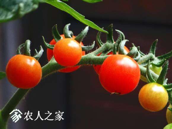 DSC02205.jpg