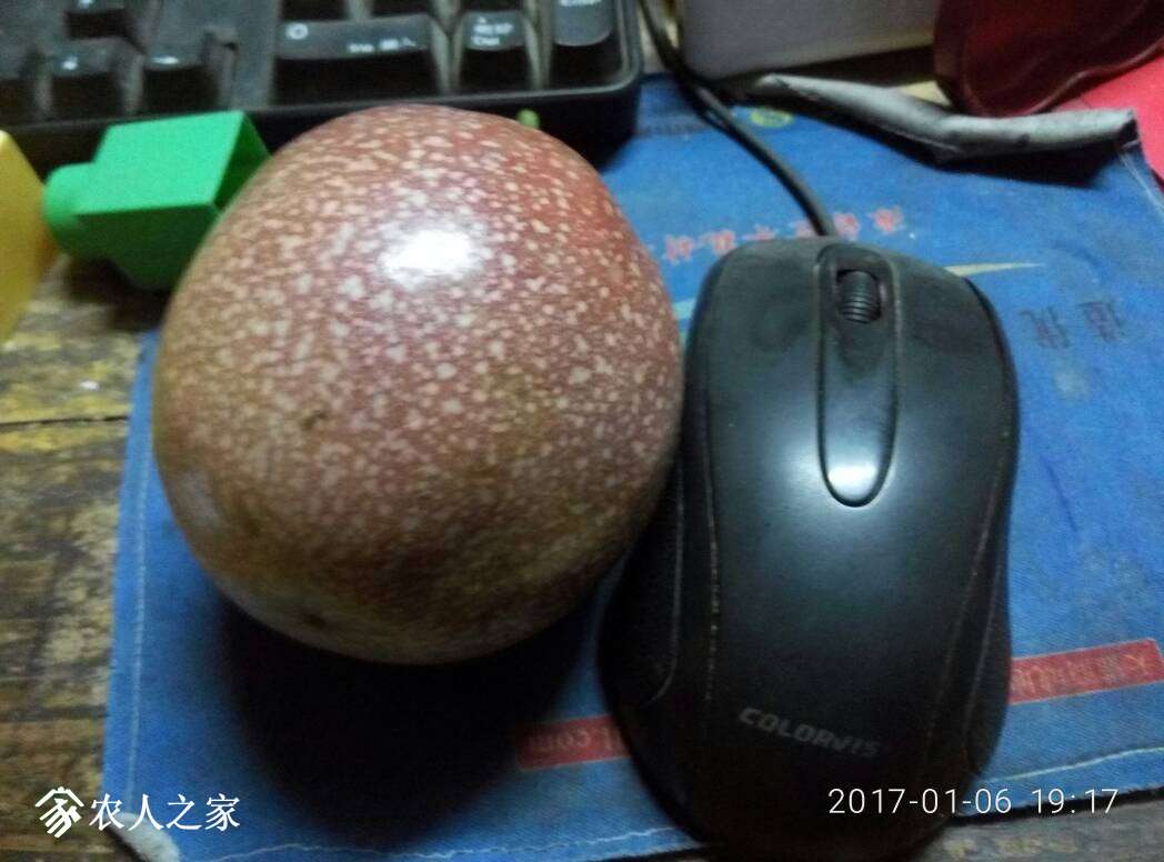 223634t83pu35f6m03c5z0.jpg
