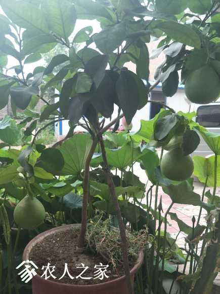 IMG20170727143922.jpg