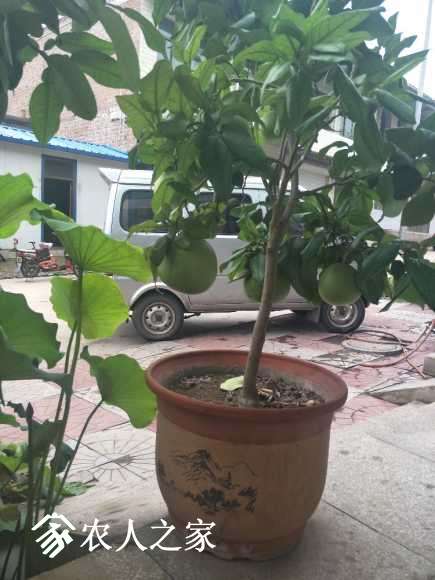 IMG20170727143929.jpg