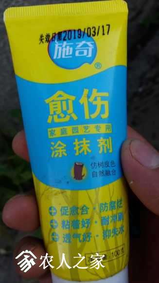 20170724_183634.jpg