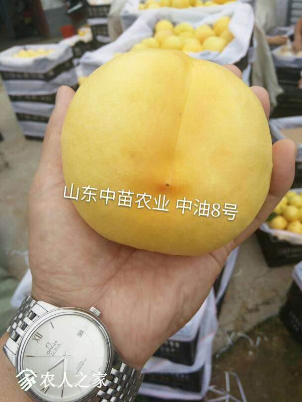 074703uowgou8ous8uooor.jpg