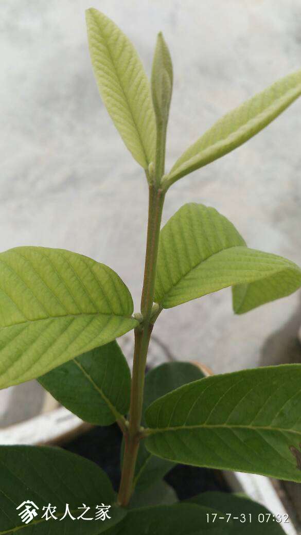 091131tt9wga953tdas7qd.jpg