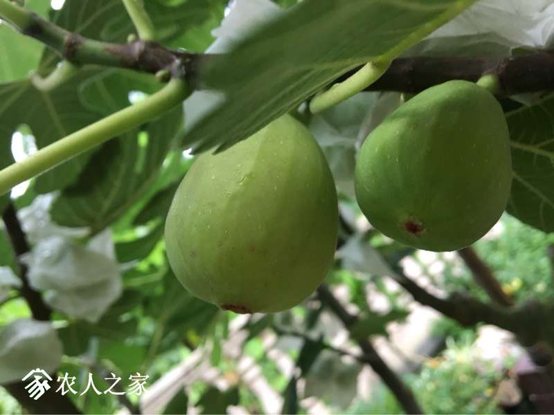 143912qgpwo0u2utu28ow2.jpg