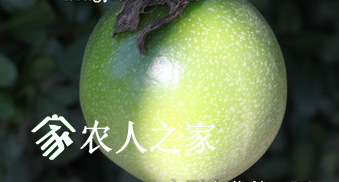 ׷۲ķδʩ.png