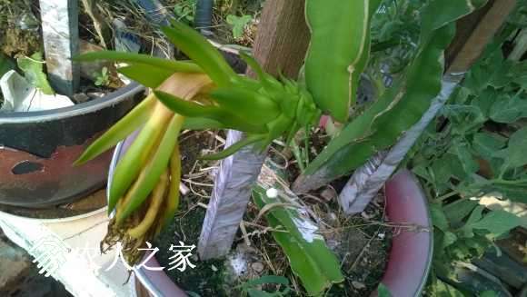 WP_20170731_001.jpg