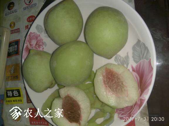203244lwkguu5huozojs6p.jpg