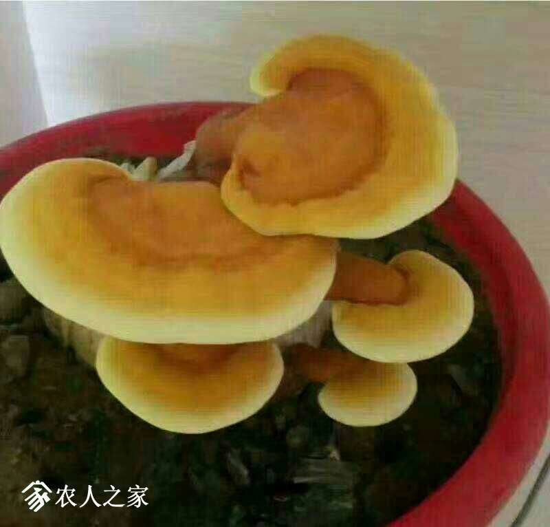 094010zybc144y1yuuiyi1.jpg