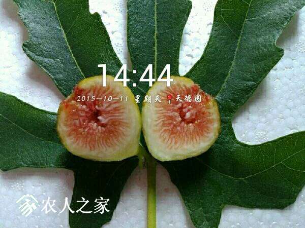 124928fj53e79d3qqf7tvv.jpg