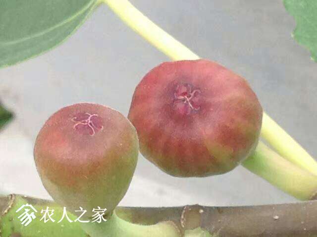 142200iumxm315w3x1bg0f.jpg