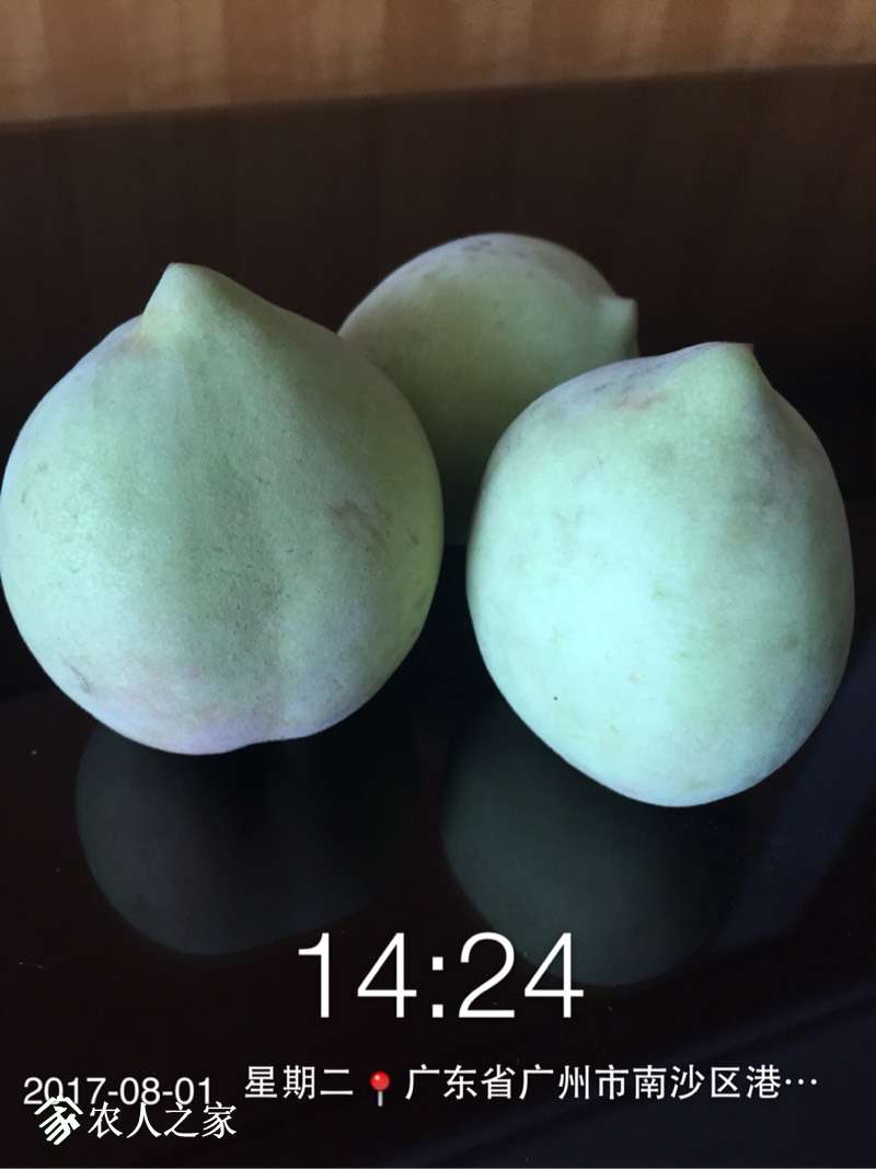 143748jeixjpn3axz7za5p.jpg