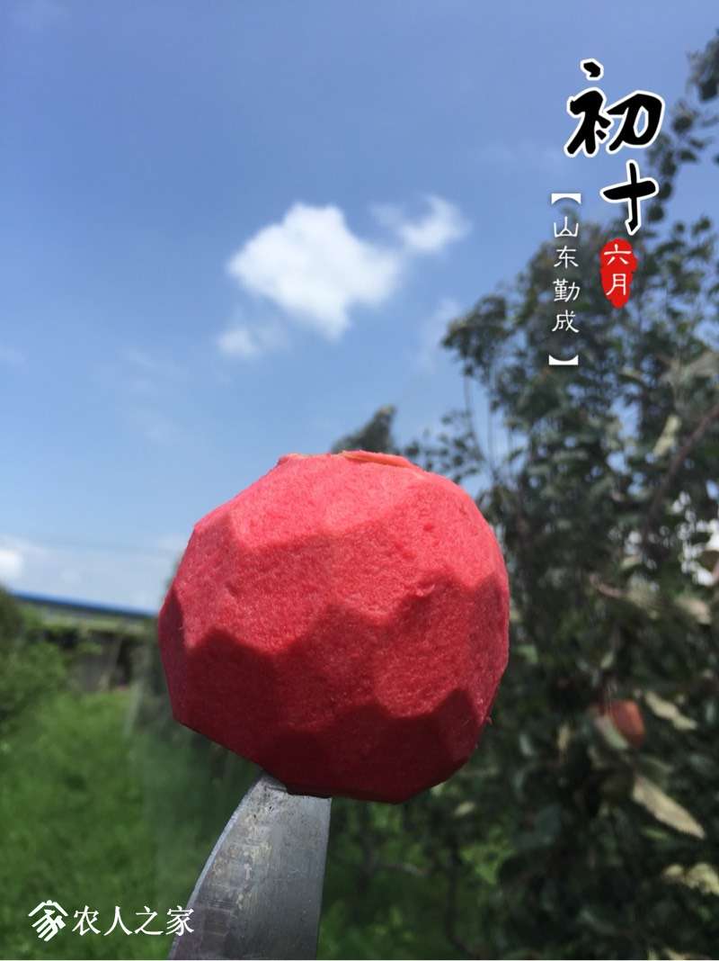 163000hkvjvcju4a1m7cka.jpg