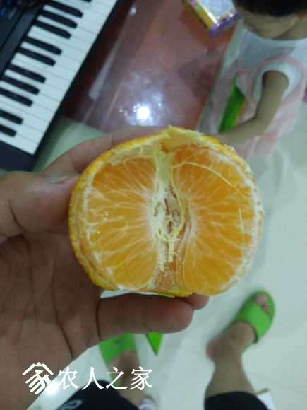 IMG_20170728_191250.jpg