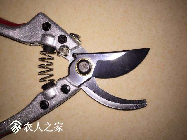 234305sroorwnrroodltw2.jpg