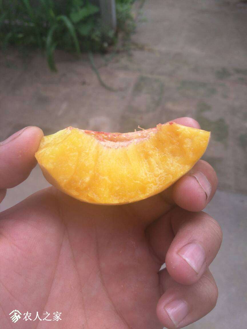 081310ixvvujimvammcugv.jpg