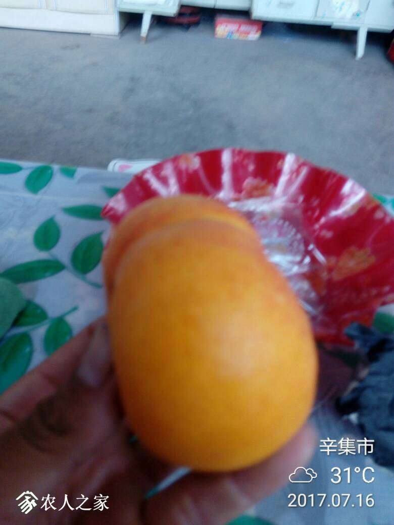 164733p5jj5u7usqq9ytty.jpg
