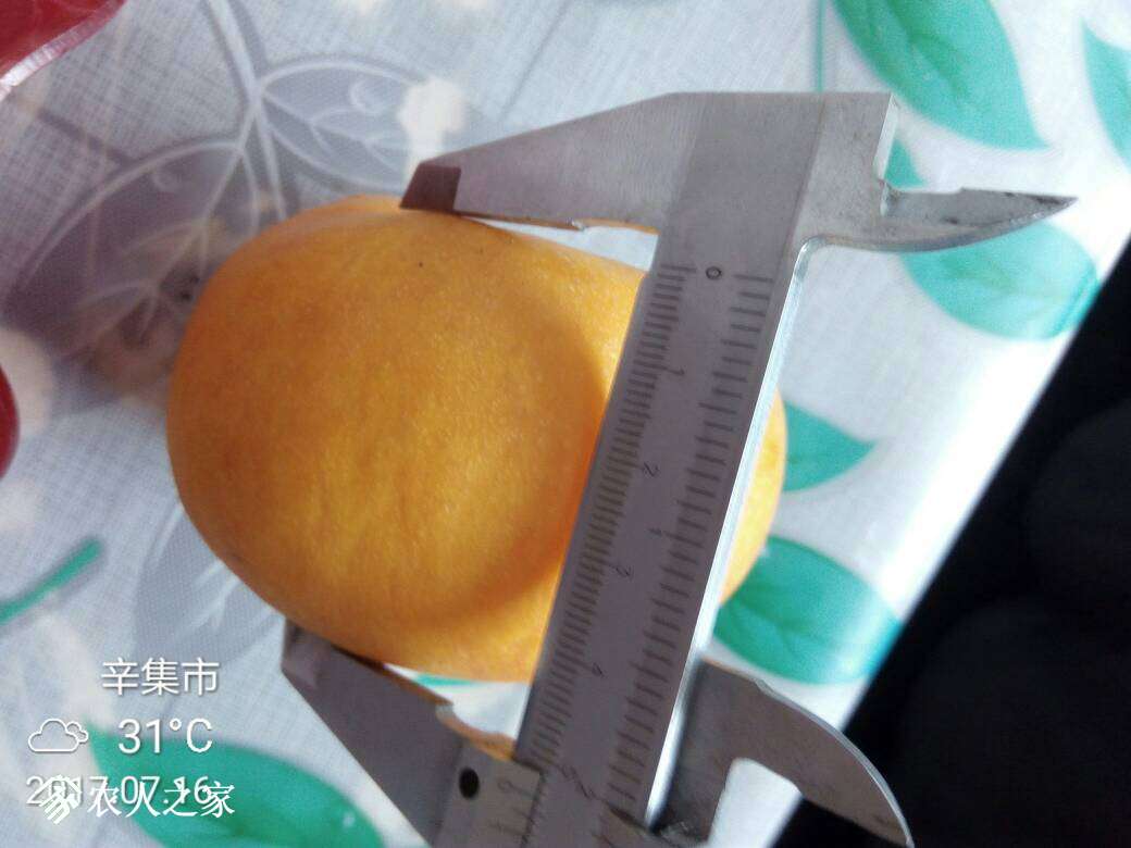 164733q50l0yg0ppk8zcog.jpg