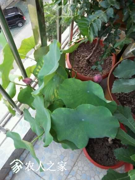 20170724_185858.jpg