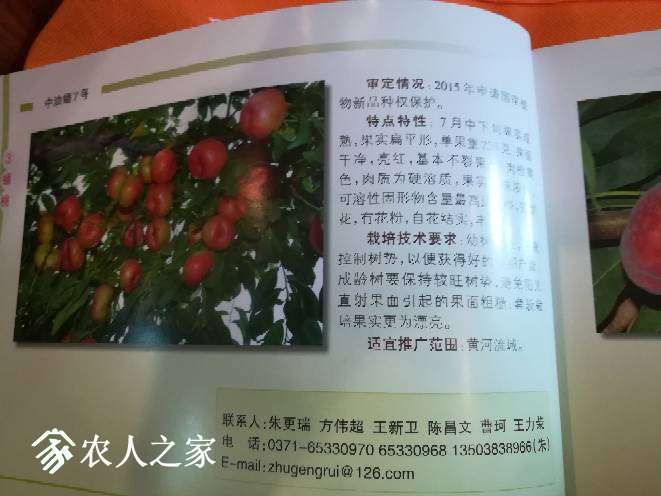 002138rteoawyodsc00c1h.jpg