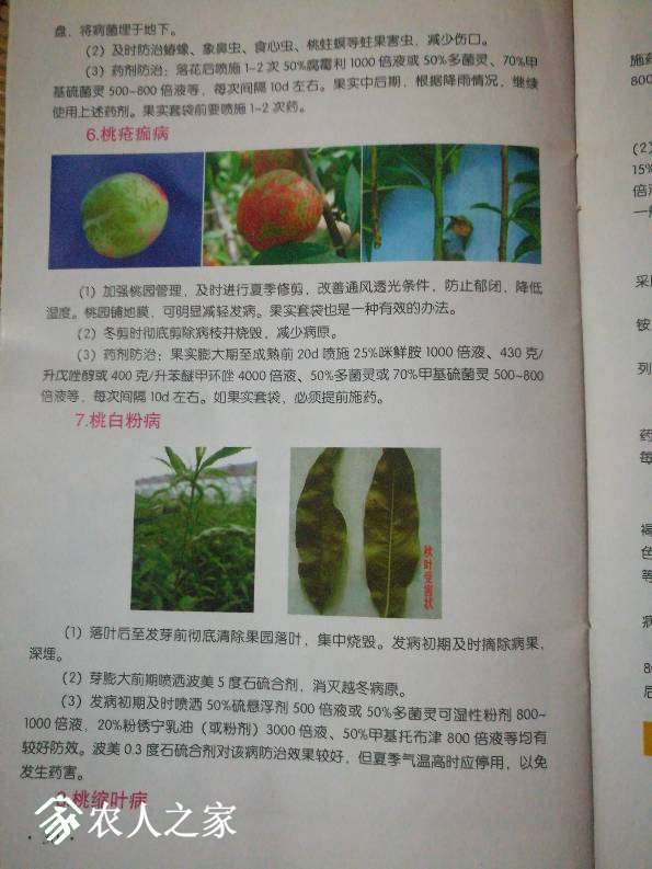 012608xuslpbzhc377mlmb.jpg